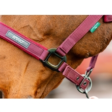 Horseware Amigo halsterset
